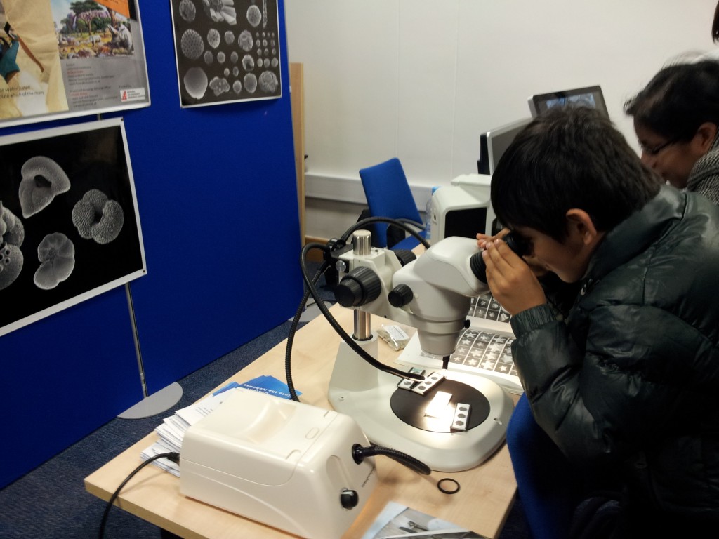 Discovering the world under the microscope